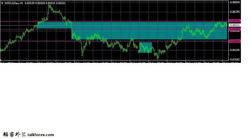 NZD4-30.jpg