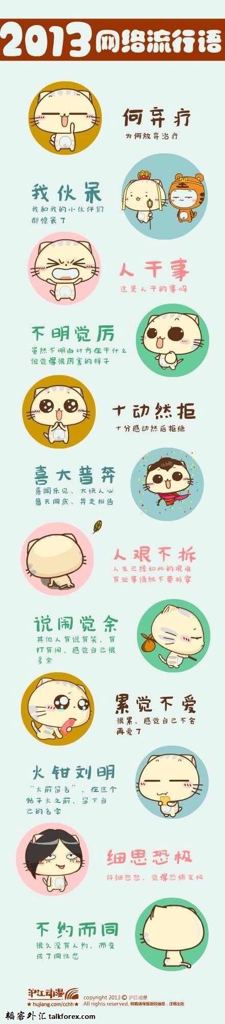 2013网络新语.jpg