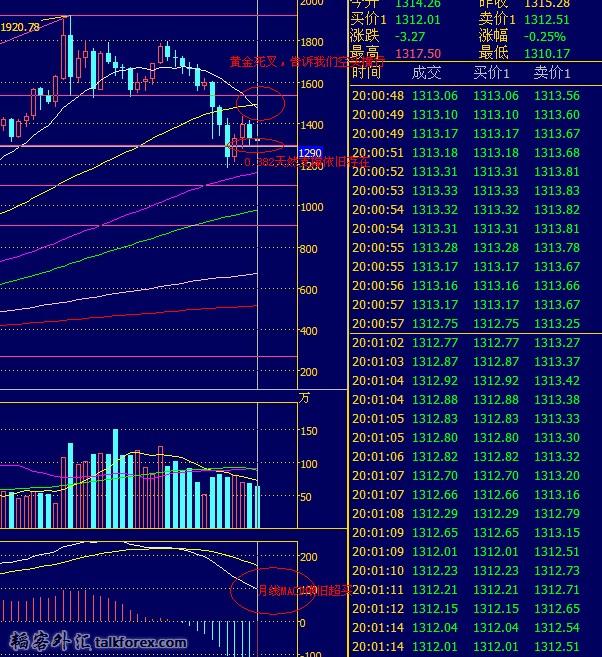 非农夜黄金月线分析.jpg