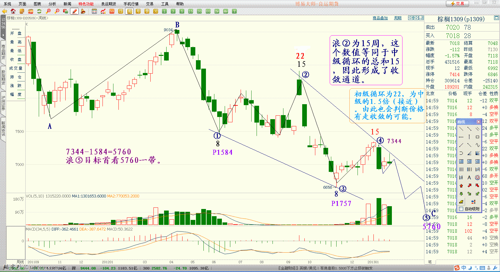 棕榈13年1月24日周图（1）.GIF