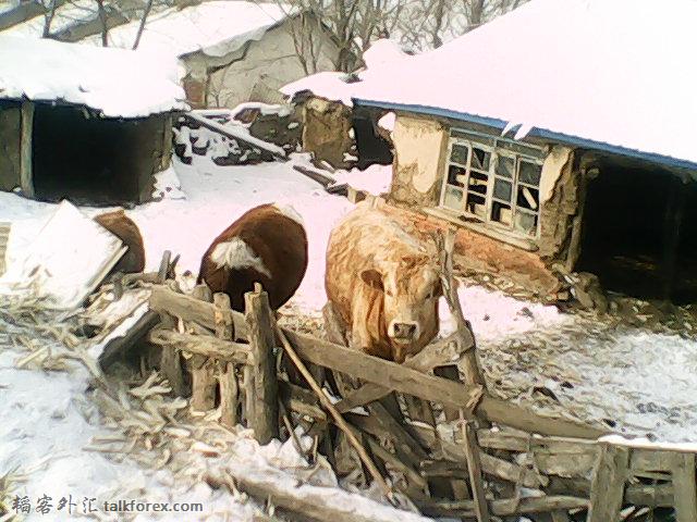 DSC_0000746.jpg