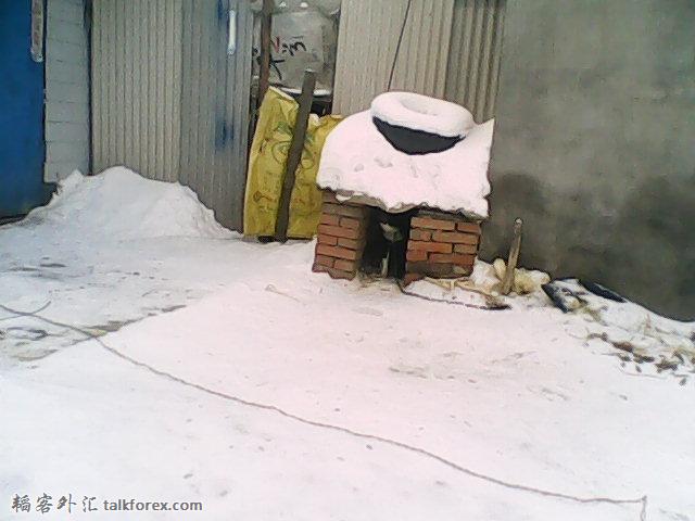 DSC_0000752.jpg