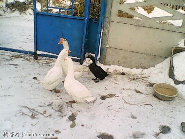 DSC_0000756.jpg