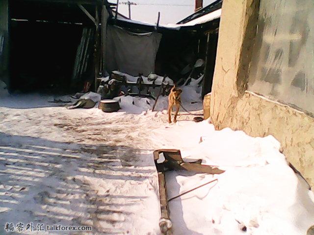 DSC_0000763.jpg