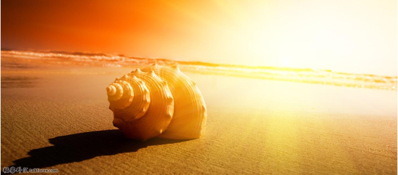 sea-shell-at-sunset_1280x720_sc.jpg