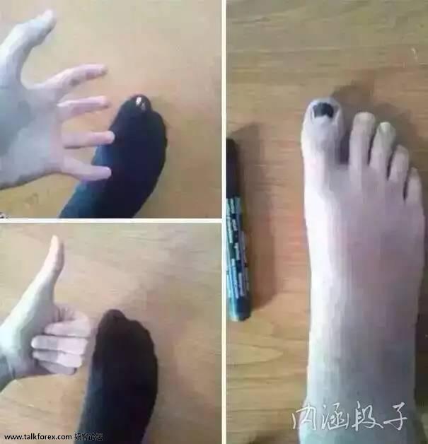 2402227996.jpg