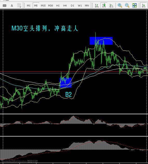 黄金图2.jpg