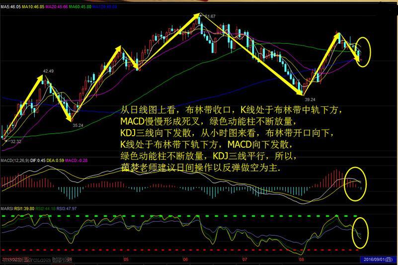 QQ图片20160901101324.jpg