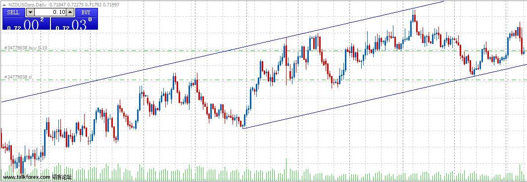 nzd.jpg