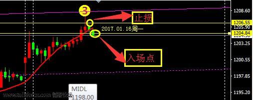 1.16黄金.jpg