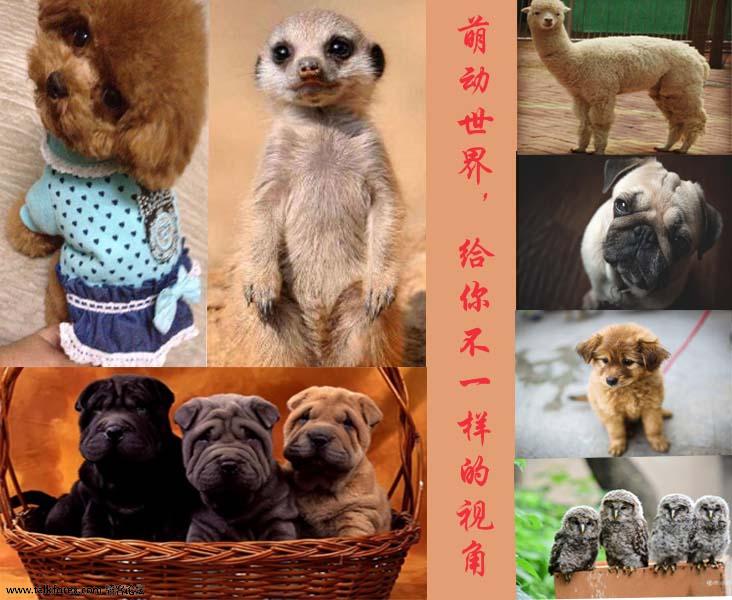 萌动世界.jpg