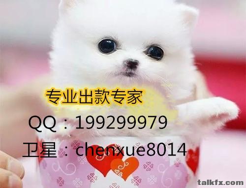 123643543171_副本.jpg