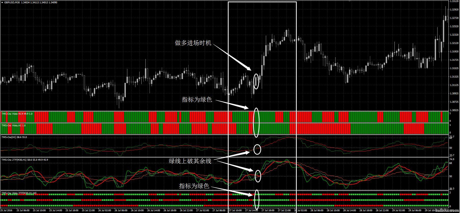 TMS Oscillator外汇交易系统1.jpg