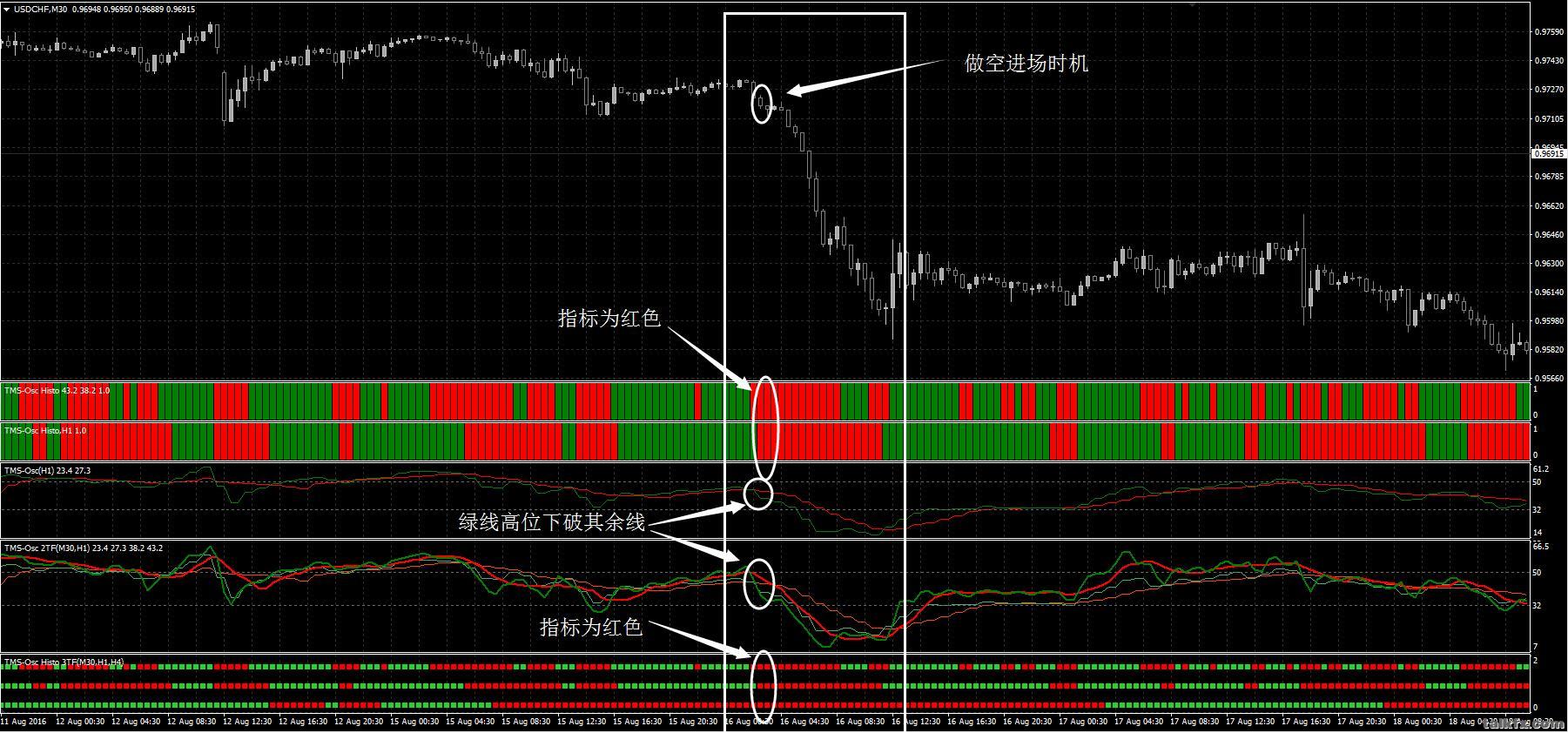 TMS Oscillator外汇交易系统2.jpg
