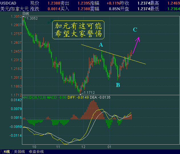 USDCAD-1-29.GIF