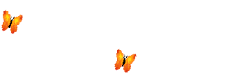 飞蝶.gif