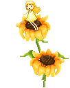 xsgs387.gif
