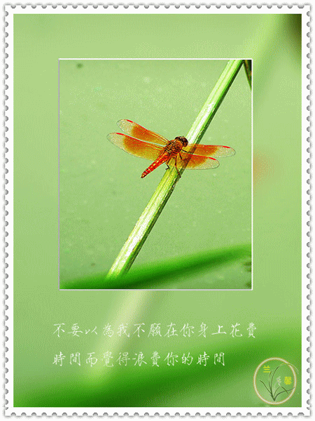 6.gif