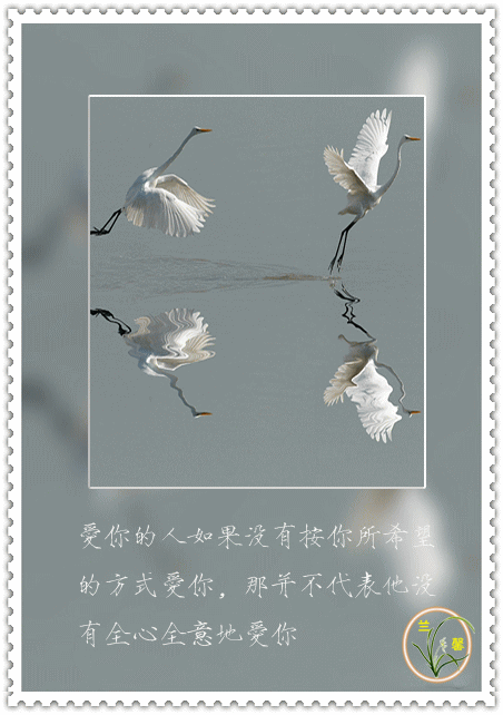 7.gif