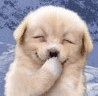 0Ka5t7m3_HWQnzDRd4W8b.gif
