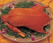 duck.jpg