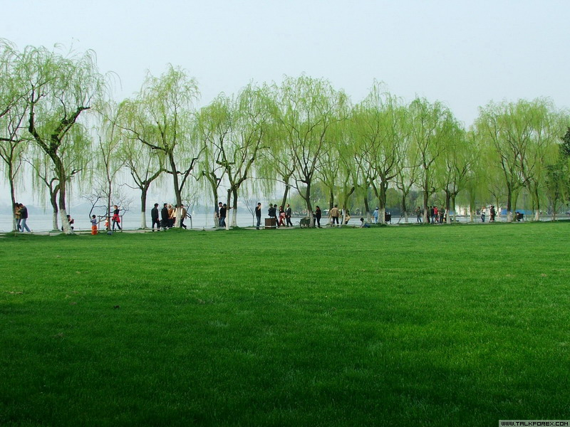 西湖草坪.jpg