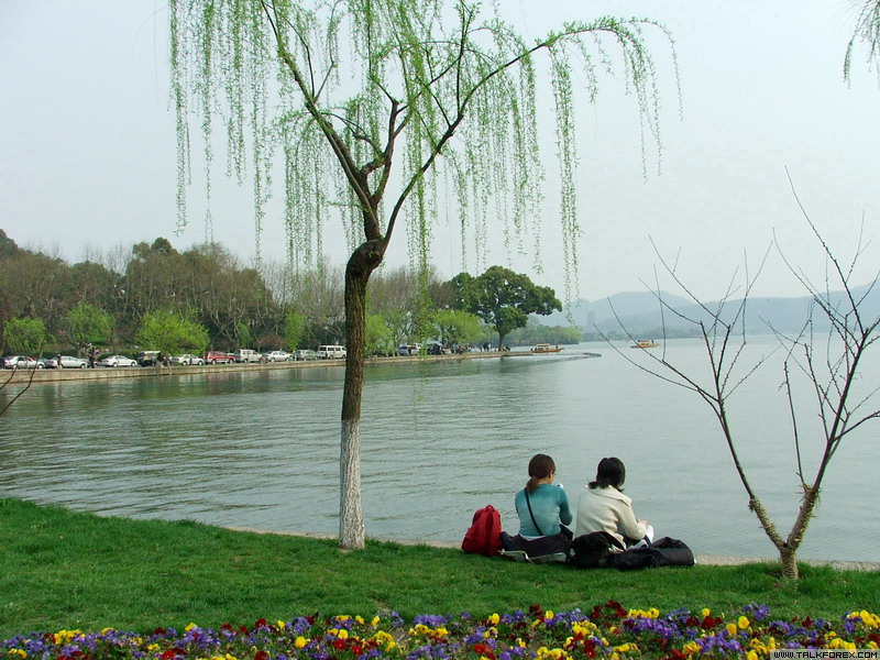 西湖晨_.jpg