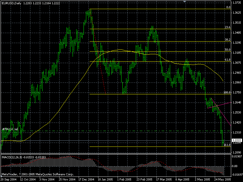 20050602eurusd.gif