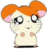 838_200310259482020760.gif