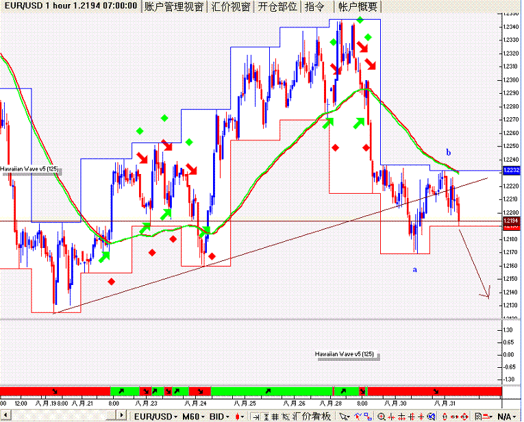 EURUSD-0831-hour.GIF