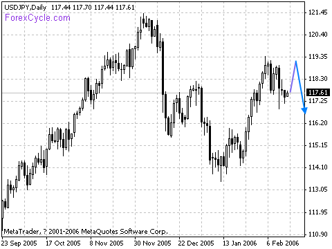 20060215_usdjpy_1.gif