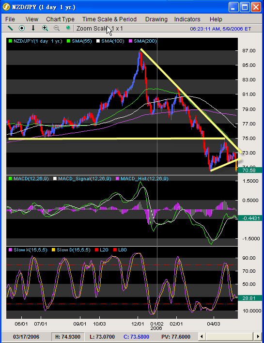 060509NZDJPY.gif