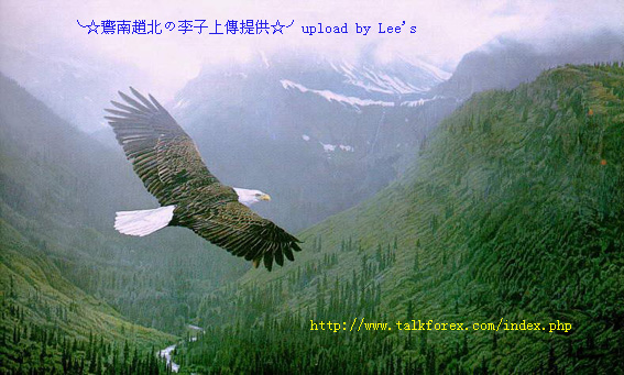 hawk_023 拷贝.jpg