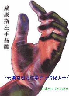 hand 拷贝.jpg
