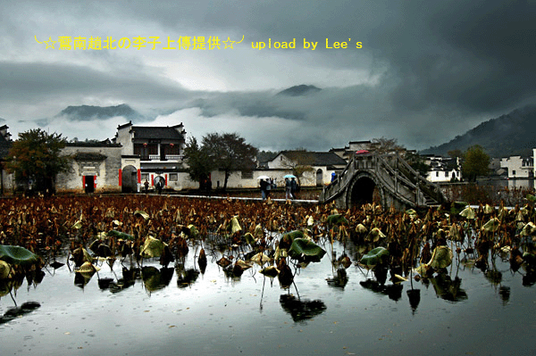 又見炊煙.gif