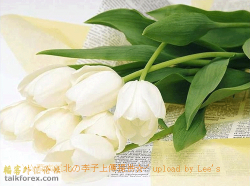 百合副本.gif