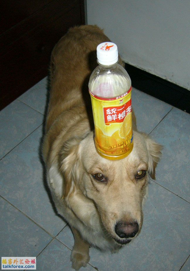 顶.jpg
