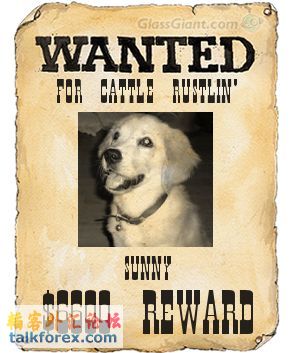 wantedposter.jpg