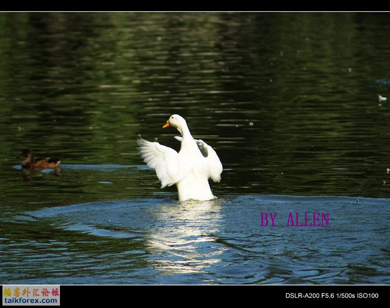 nEO_IMG_nEO_IMG_DSC01998.jpg