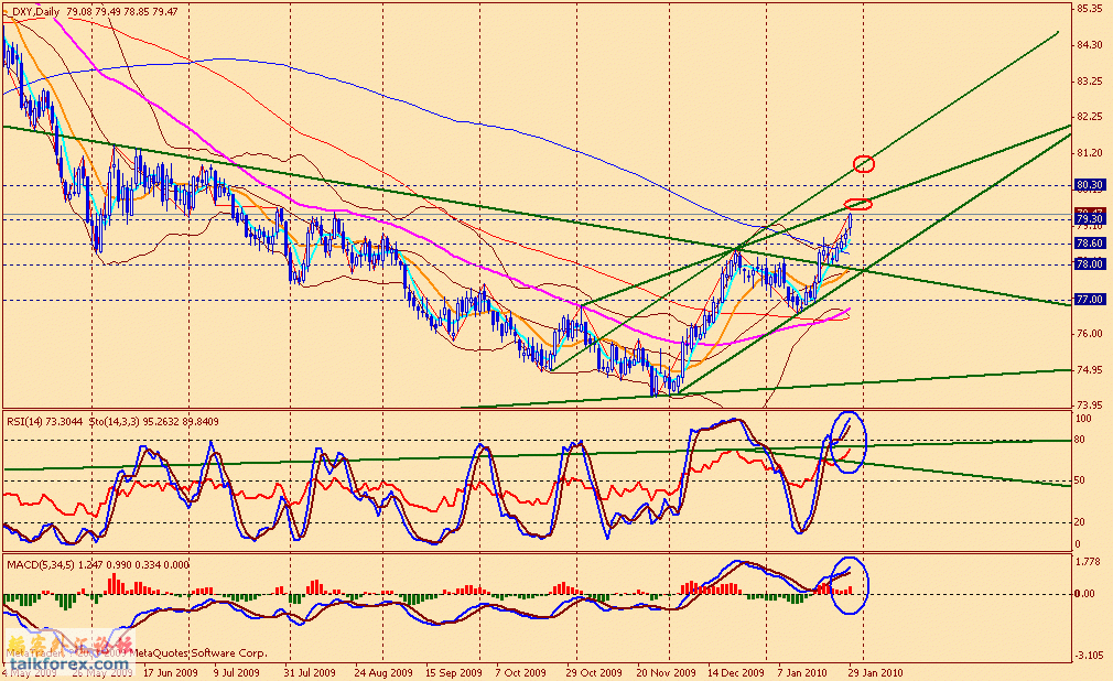 usdx d 100129.gif