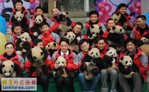 panda100204.jpg
