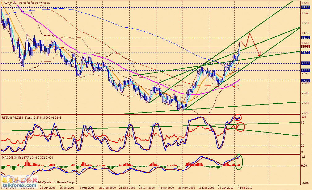 usdx d 100205.gif