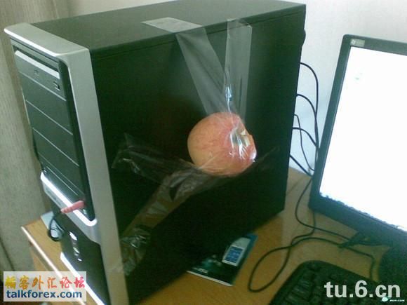 2_69763296_diary.jpg