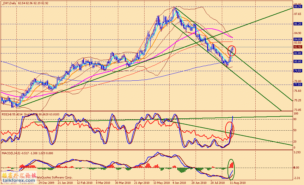 usdx d 100813.gif