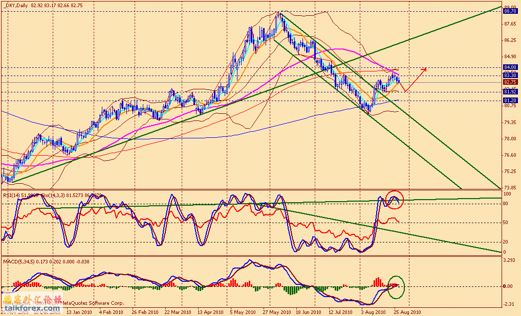 usdx d 100827.gif