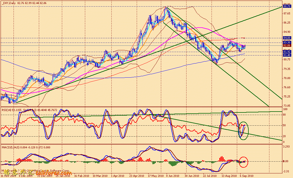 usdx d 100910.gif