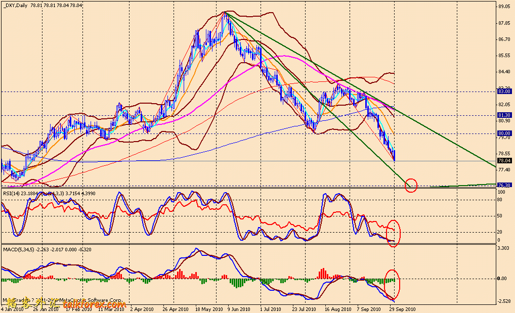 usdx d 101001.gif