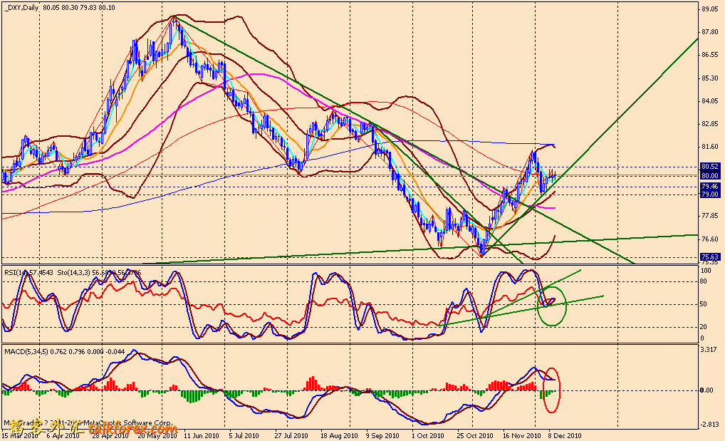 usdx d 101210.gif