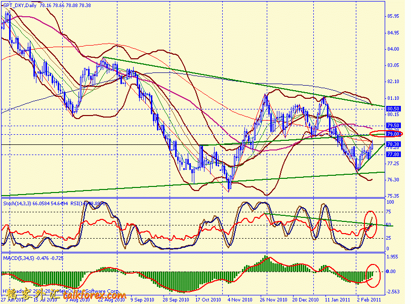 usdx d 110212.gif