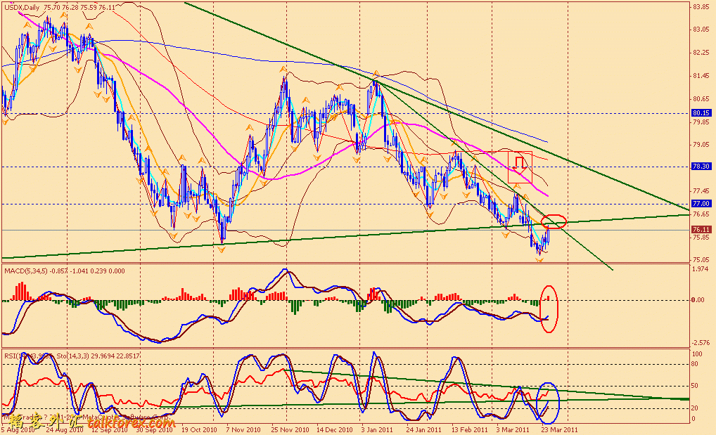 usdx d 110325.gif